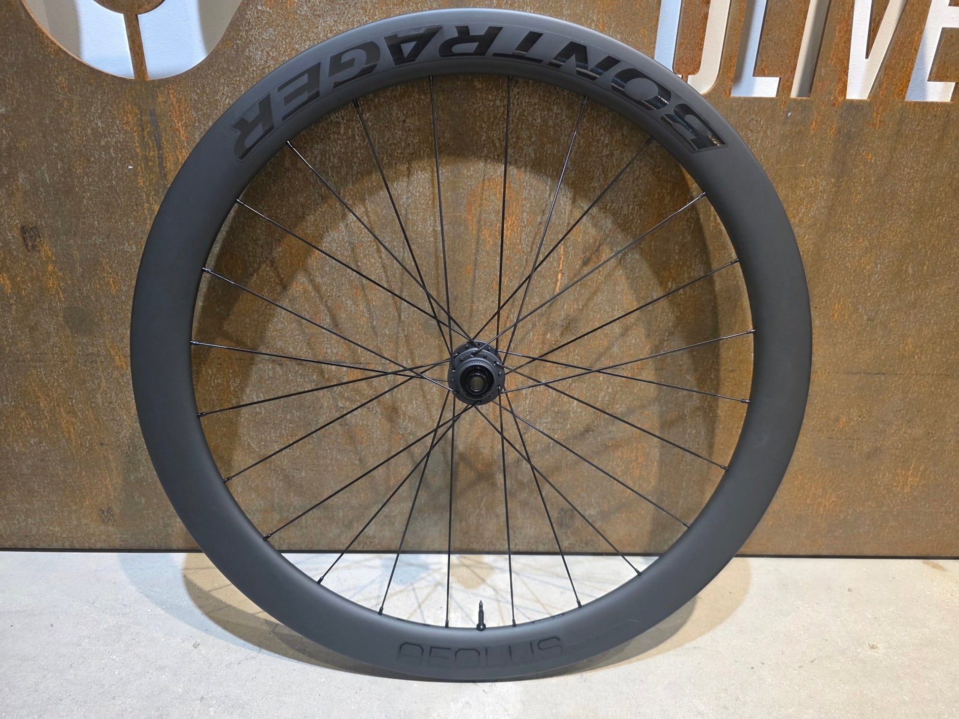Laufrad/Laufradsatz von Bontrager, BONTRAGER AEOLUS ELITE 50 TLR LAUFRADSATZ DISC vor USEDBIKES - OB.DE Hintergrund