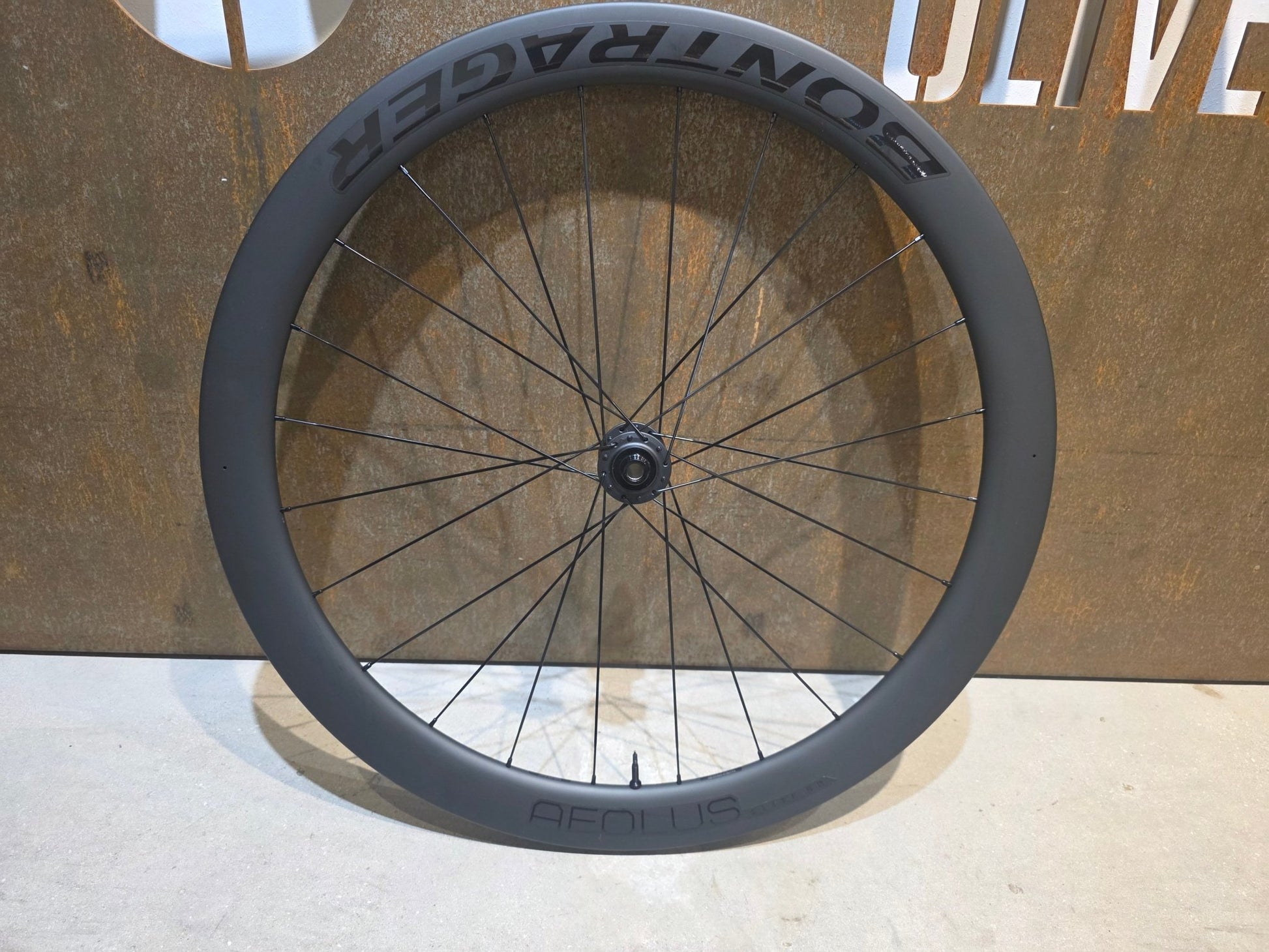 Laufrad/Laufradsatz von Bontrager, BONTRAGER AEOLUS ELITE 50 TLR LAUFRADSATZ DISC vor USEDBIKES - OB.DE Hintergrund