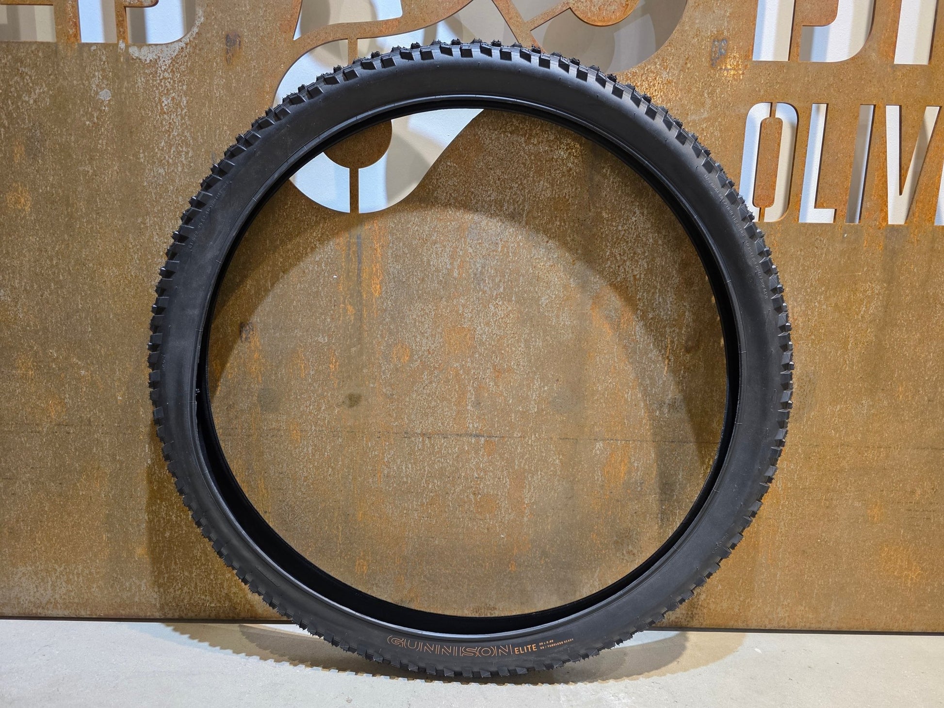 Reifen von Bontrager, BONTRAGER GUNNISON ELITE XR TLR MOUNTAINBIKE REIFEN 29X2.40 in variant_title vor USEDBIKES - OB.DE Hintergrund