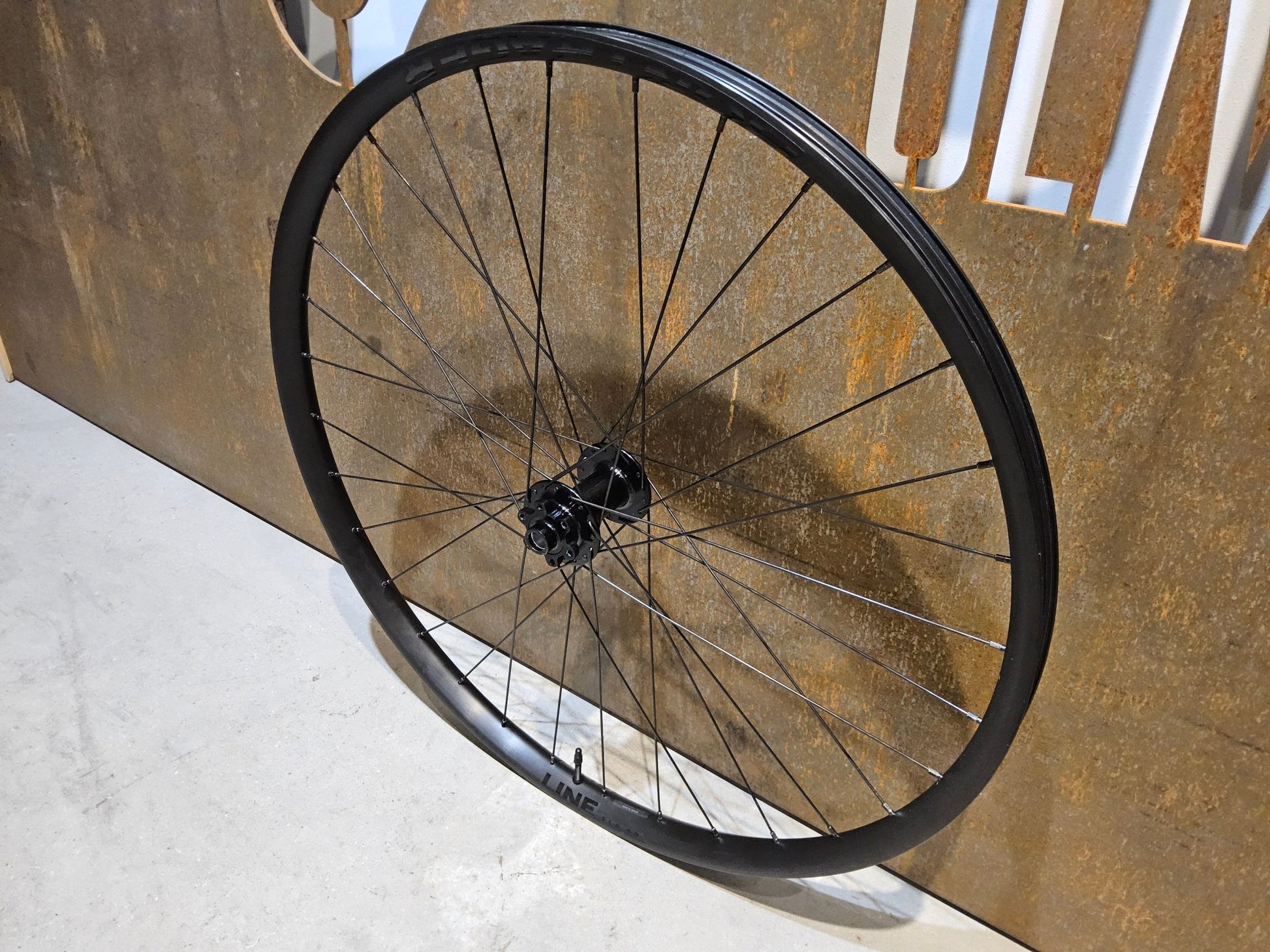 Laufrad/Laufradsatz von Bontrager, BONTRAGER LINE 30 TLR BOOST 29 ZOLL MTB VORDERRAD DISC in variant_title vor USEDBIKES - OB.DE Hintergrund