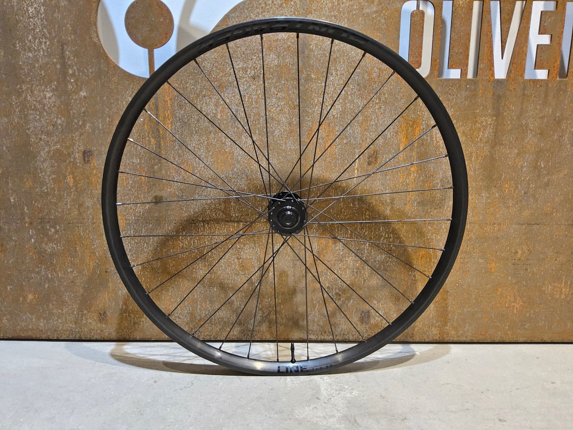 Laufrad/Laufradsatz von Bontrager, BONTRAGER LINE 30 TLR BOOST 29 ZOLL MTB VORDERRAD DISC in variant_title vor USEDBIKES - OB.DE Hintergrund