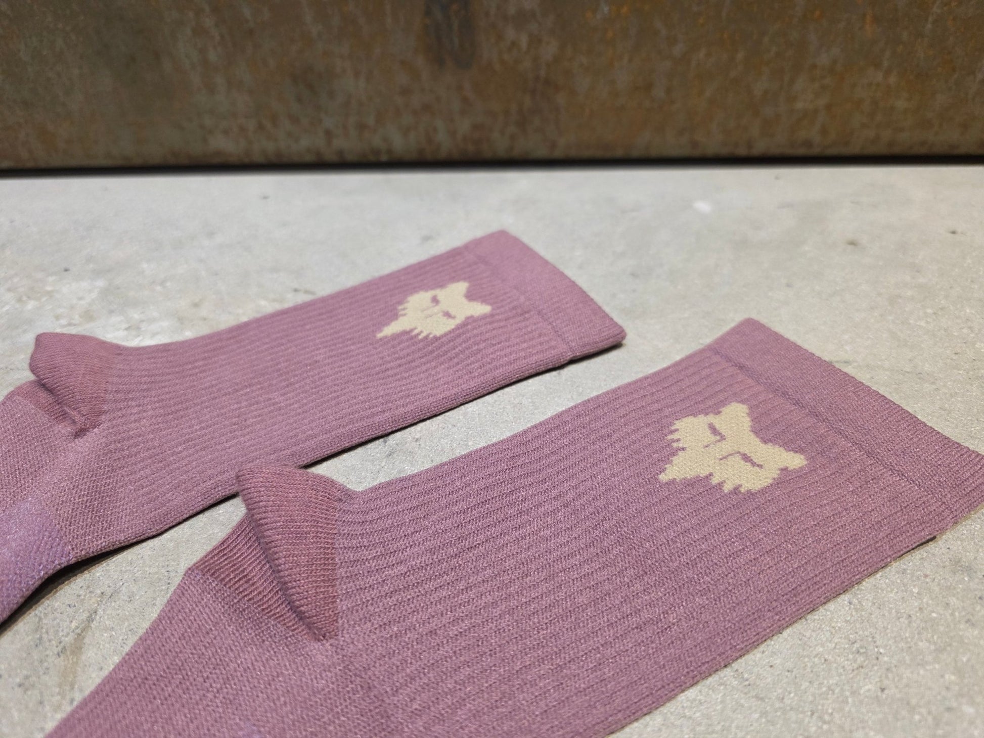 Socken Herren von Fox Racing, FOX RACING X TREK RANGER MOUNTAINBIKE SOCKEN / L/XL vor USEDBIKES - OB.DE Hintergrund