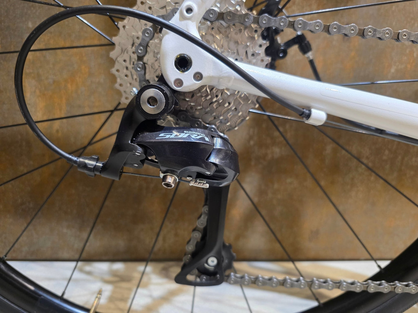Rennrad von Trek, TREK DOMANE AL 3 GEN 3 / CRYSTAL WHITE / 61CM in variant_title vor USEDBIKES - OB.DE Hintergrund