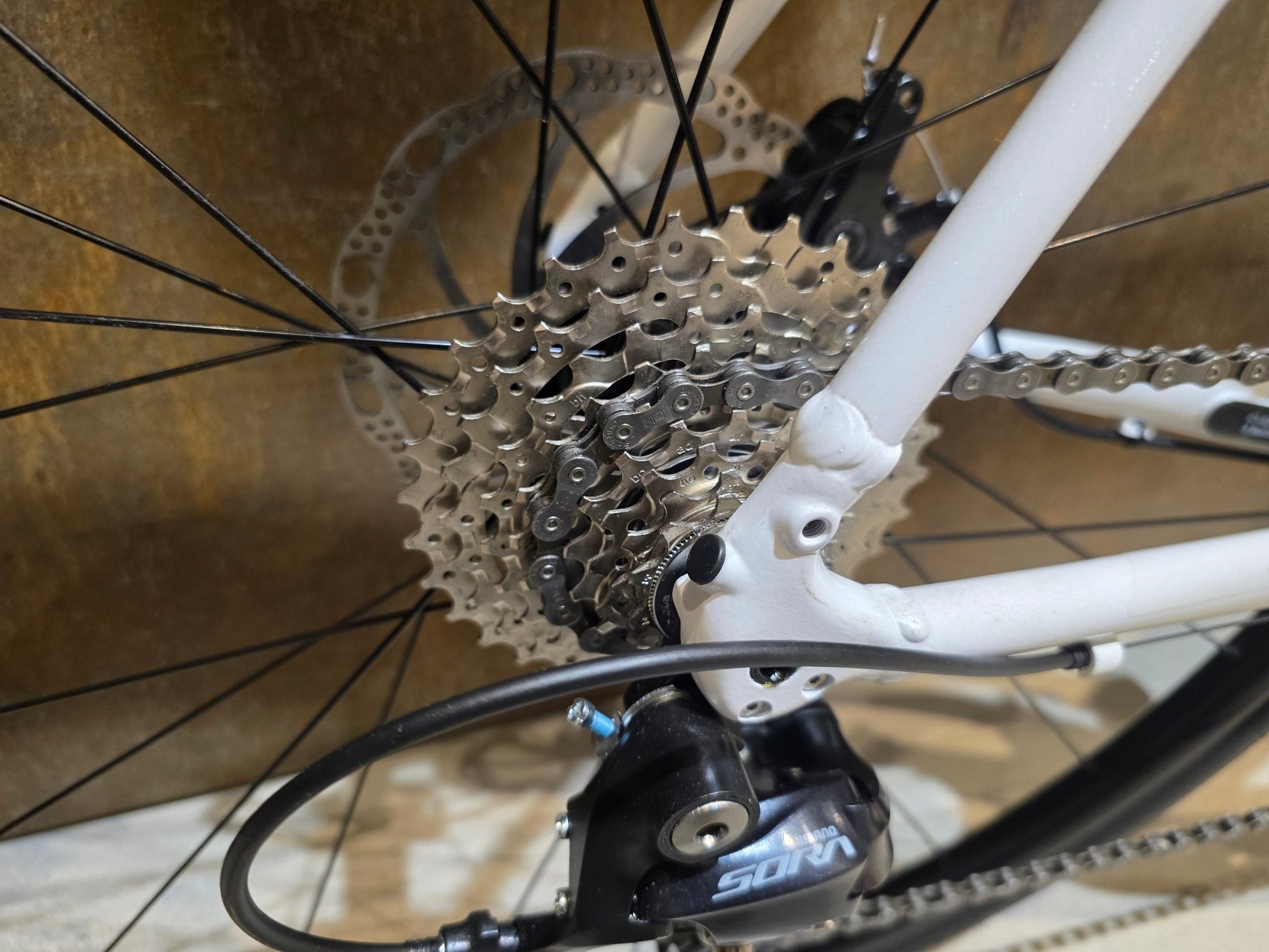 Rennrad von Trek, TREK DOMANE AL 3 GEN 3 / CRYSTAL WHITE / 61CM in variant_title vor USEDBIKES - OB.DE Hintergrund