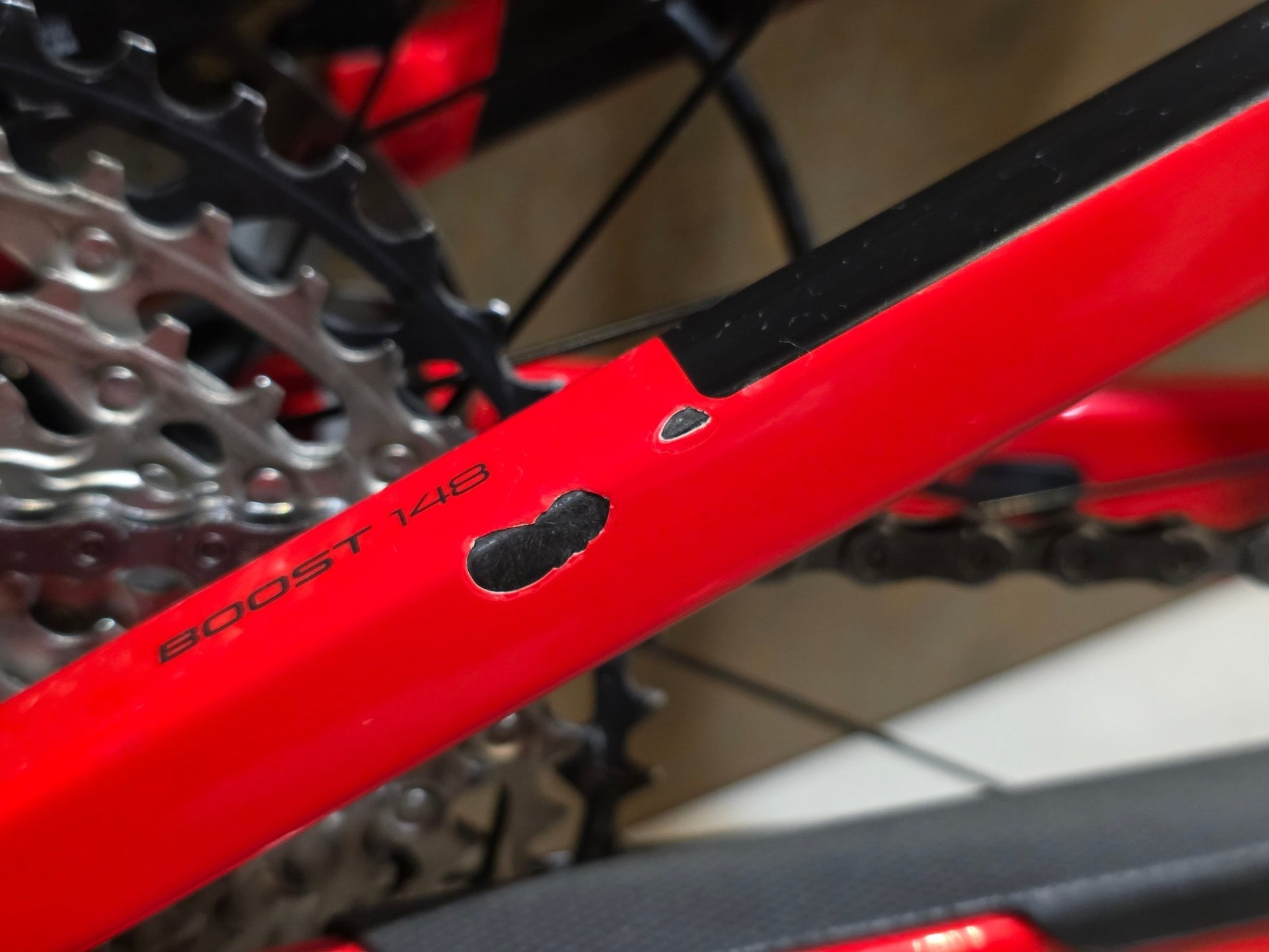 Mountainbike von Trek, TREK TOP FUEL 9.7 / CUSTOM / GEN 2 / M vor USEDBIKES - OB.DE Hintergrund