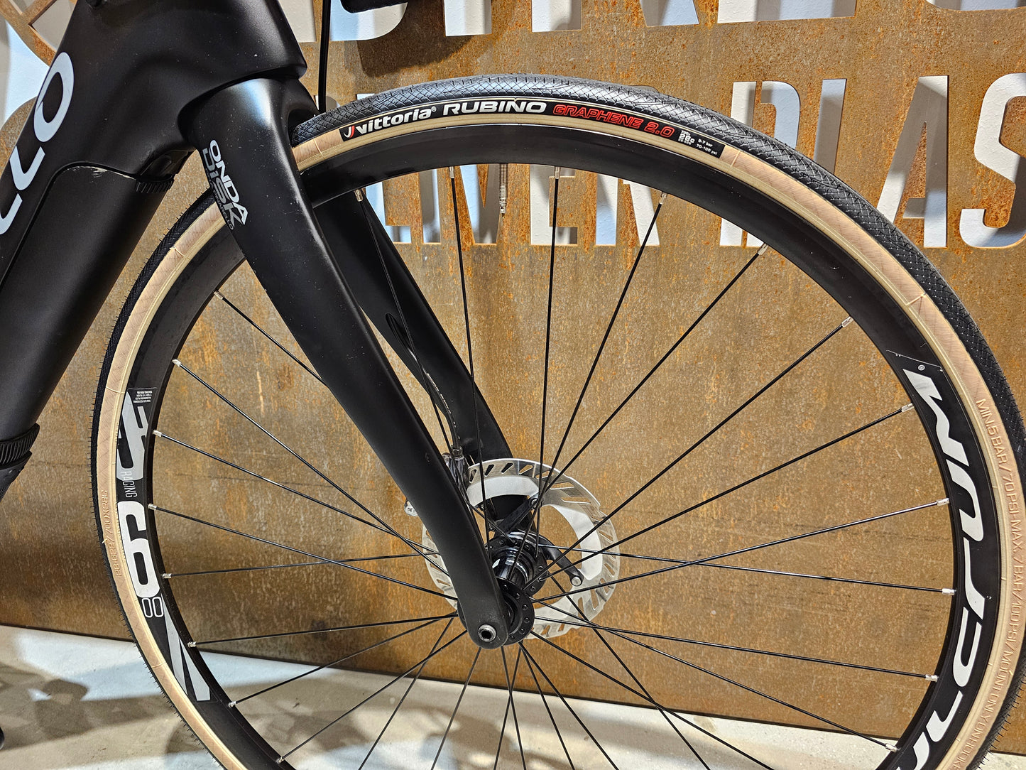 PINARELLO NYTRO FAZUA CARBON / 53CM