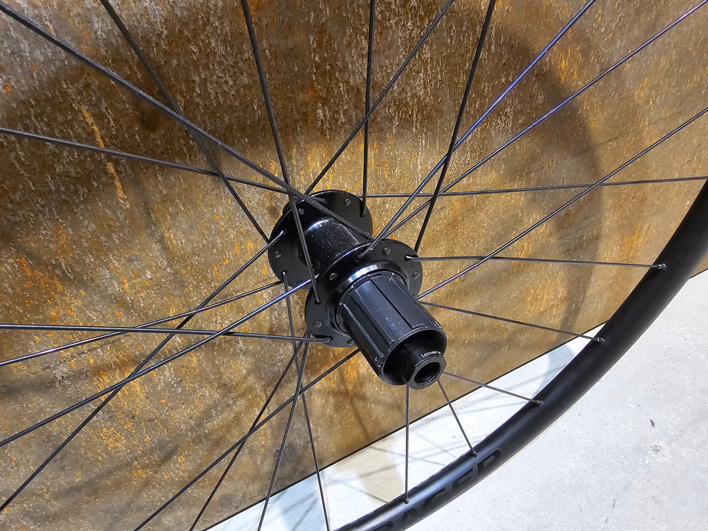 BONTRAGER PARADIGM SL LAUFRADSATZ DISC / SCHWARZ