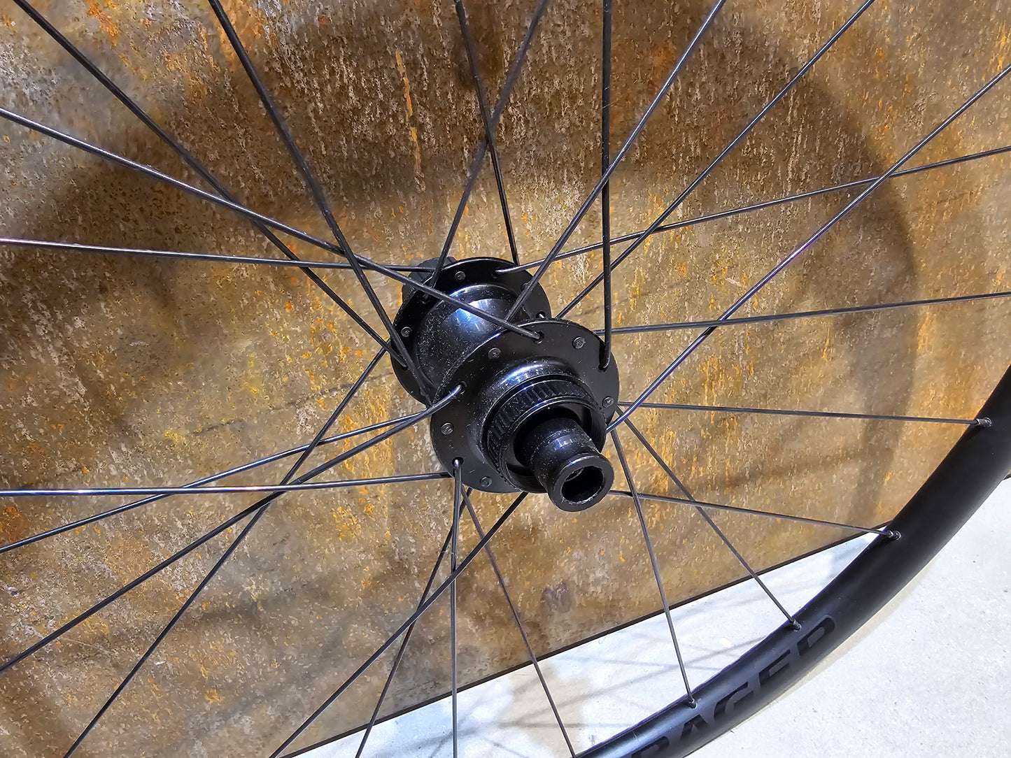BONTRAGER PARADIGM SL LAUFRADSATZ DISC / SCHWARZ