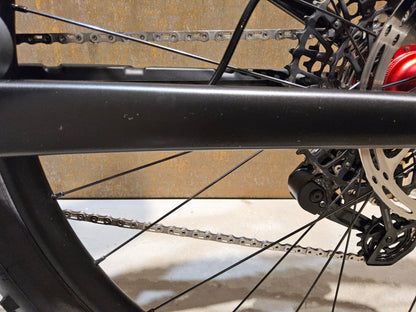 TREK TOP FUEL 9.8 GX AXS / L