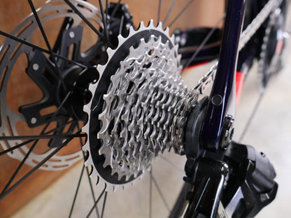 TREK MADONE SLR 7 AXS GEN 8 LIDL-TREK TEAM REPLICA CARBON RENNRAD – L