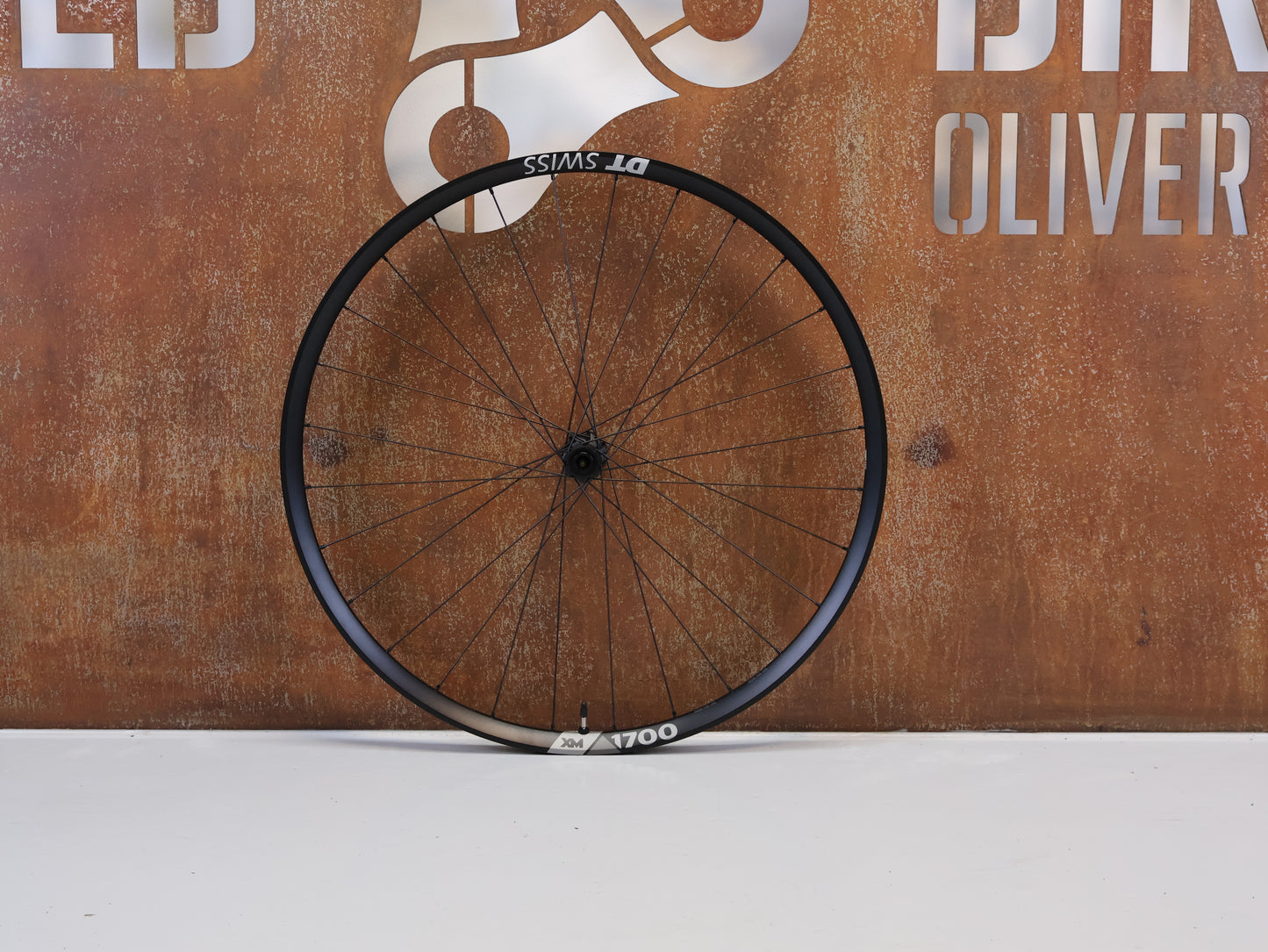 DT SWISS XM 1700 SPLINE 30 VORDERRAD / 29 ZOLL / BOOST / 919 G / CENTER LOCK