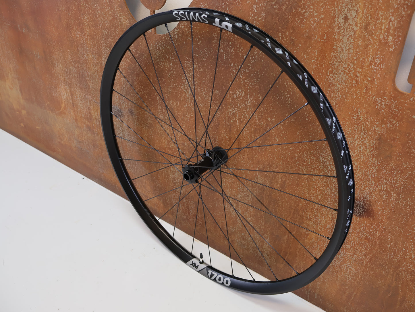 DT SWISS XM 1700 SPLINE 30 VORDERRAD / 29 ZOLL / BOOST / 919 G / CENTER LOCK
