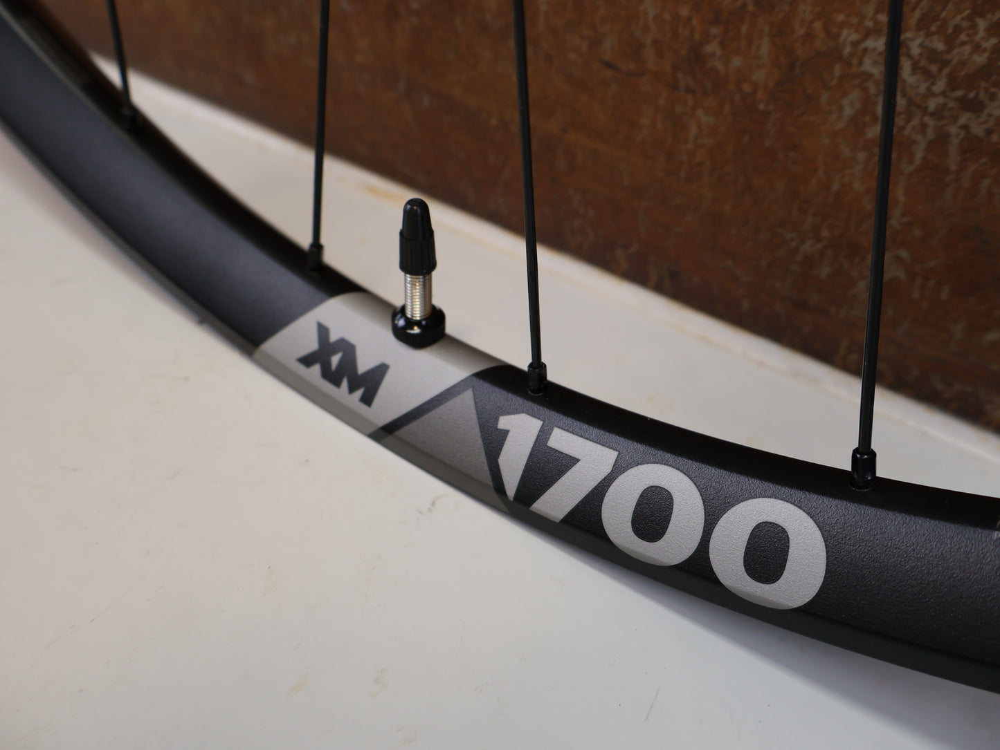 DT SWISS XM 1700 SPLINE 30 VORDERRAD / 29 ZOLL / BOOST / 919 G / CENTER LOCK