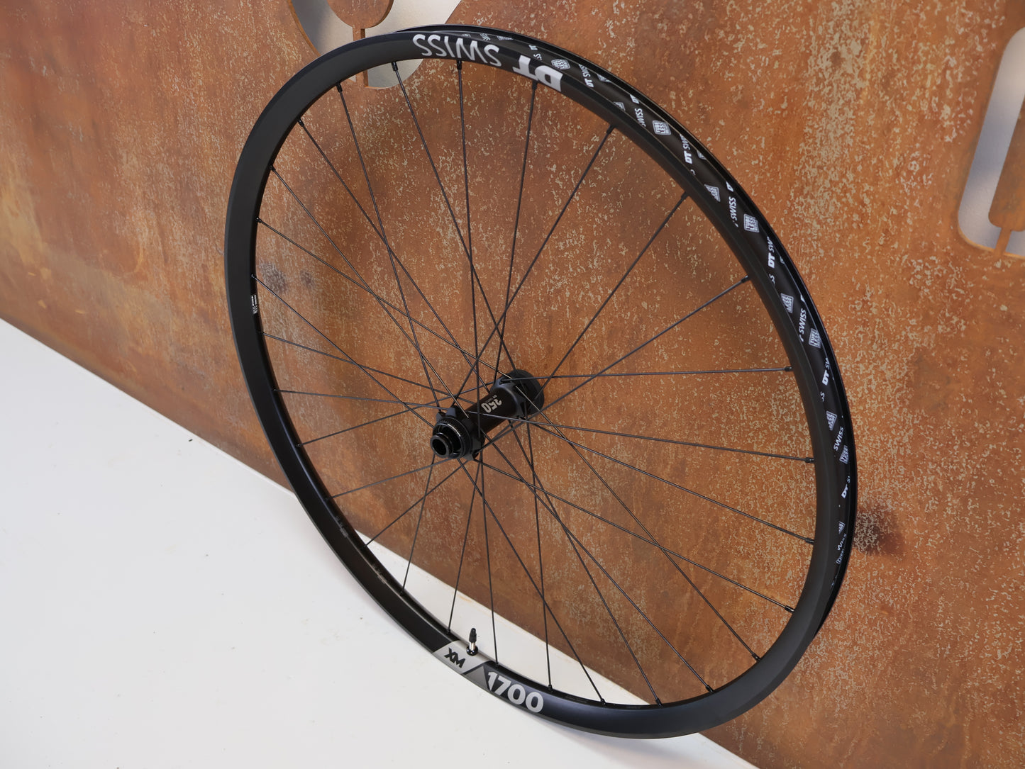 DT SWISS XM 1700 SPLINE 30 VORDERRAD / 29 ZOLL / BOOST / 919 G / CENTER LOCK