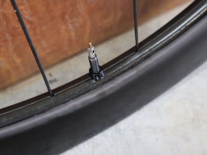 ENVE SES 4.5 CARBON LAUFRADSATZ / TUBELESS / CENTERLOCK / SHIMANO HG / 12X142 MM