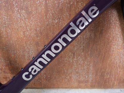 CANNONDALE SUPERSIX EVO HI-MOD / CARBON RAHMENSET / ROAD DISC / 61 CM / 1770 G