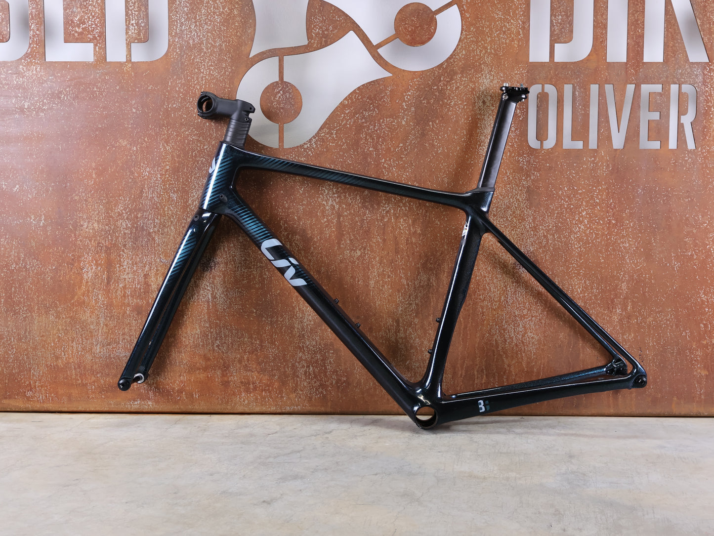 LIV LANGMA ADVANCED DISC / CARBON RAHMENSET / GRÖSSE S / COMPACT ROAD / 1900 G