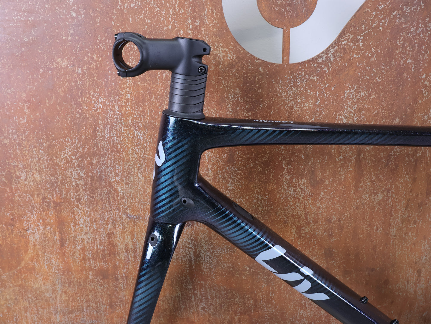 LIV LANGMA ADVANCED DISC / CARBON RAHMENSET / GRÖSSE S / COMPACT ROAD / 1900 G