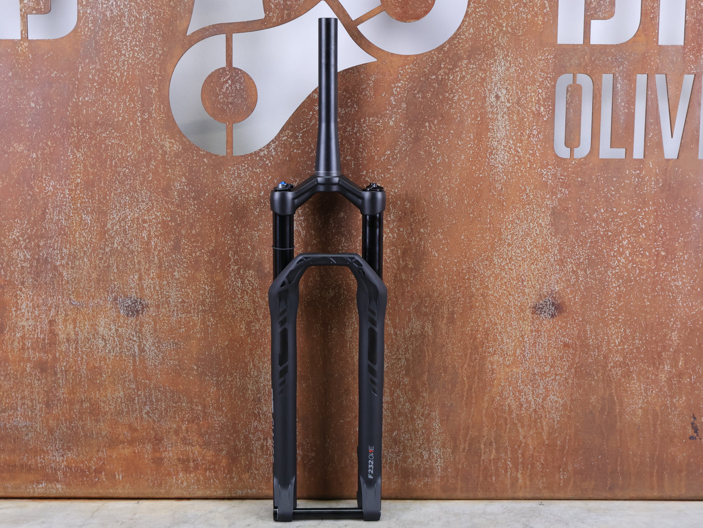 DT SWISS F 232 ONE / XC FEDERGABEL / 29" BOOST / 110 MM FEDERWEG / 1539 G