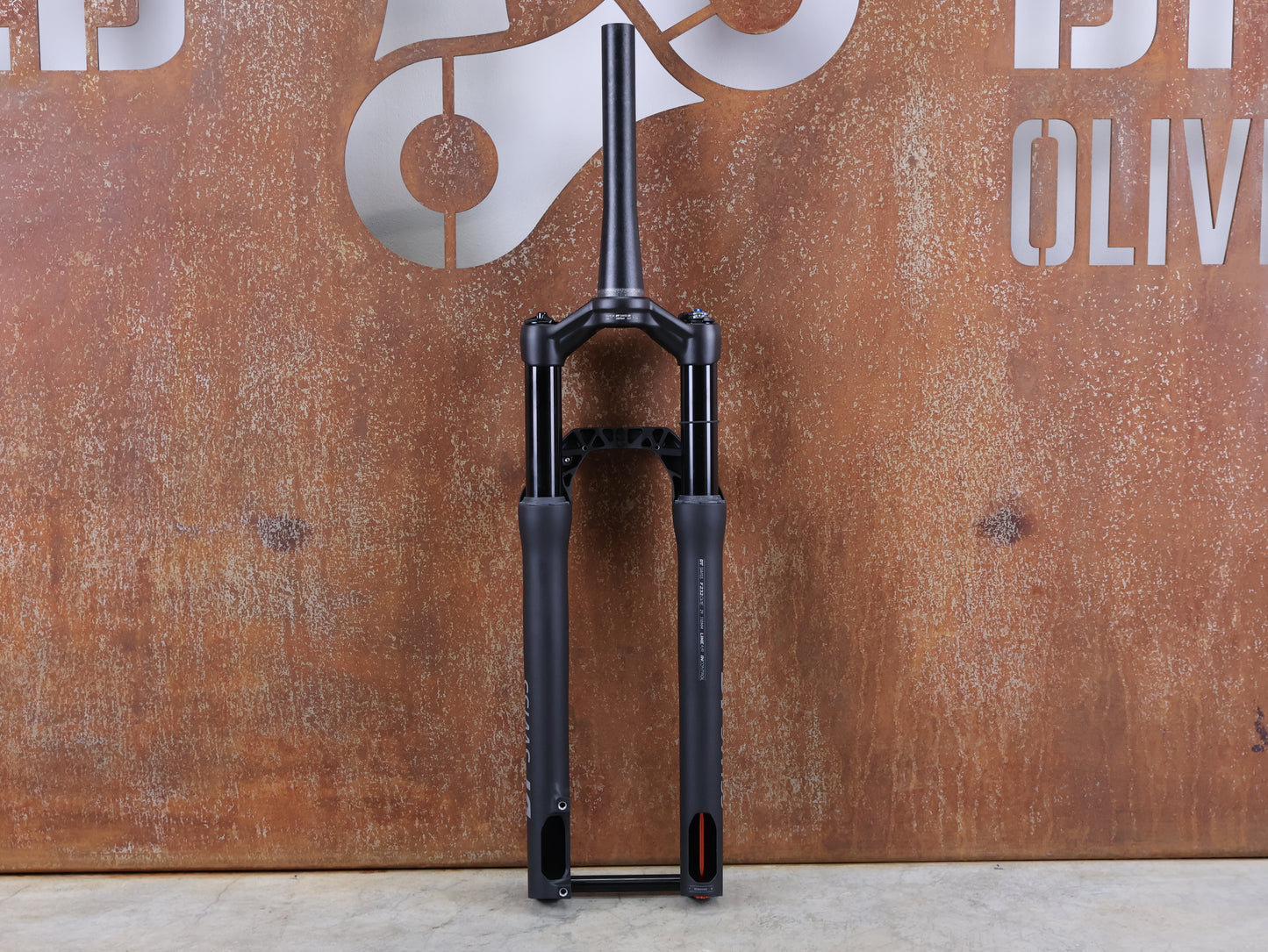 DT SWISS F 232 ONE / XC FEDERGABEL / 29" BOOST / 110 MM FEDERWEG / 1539 G