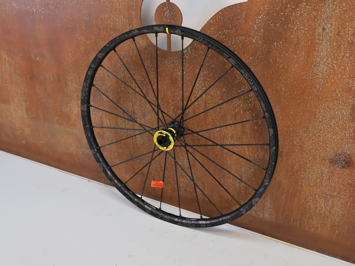 MAVIC DEEMAX PRO SAM HILL 29 ZOLL VR 15X110 BOOST 6 LOCH