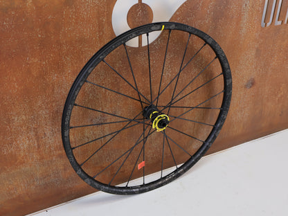 MAVIC DEEMAX PRO SAM HILL 29 ZOLL VR 15X110 BOOST 6 LOCH