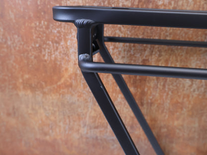 TREK POWERFLY HT GEPÄCKTRÄGER / E-MTB HECKGEPÄCKTRÄGER / INTEGRATED DESIGN BIS 20 KG