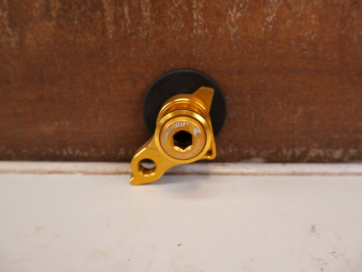 FRAMESANDGEAR DISC UDH SCHALTAUGE P1.0 GOLD SRAM 30G 30042-1-P1.0-GLD