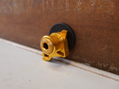 FRAMESANDGEAR DISC UDH SCHALTAUGE P1.0 GOLD SRAM 30G 30042-1-P1.0-GLD