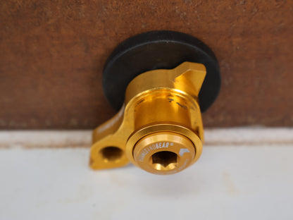 FRAMESANDGEAR DISC UDH SCHALTAUGE P1.0 GOLD SRAM 30G 30042-1-P1.0-GLD