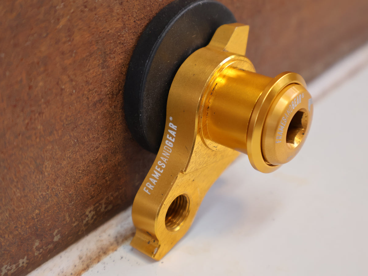 FRAMESANDGEAR DISC UDH SCHALTAUGE P1.0 GOLD SRAM 30G 30042-1-P1.0-GLD