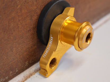 FRAMESANDGEAR DISC UDH SCHALTAUGE P1.0 GOLD SRAM 30G 30042-1-P1.0-GLD