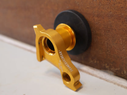 FRAMESANDGEAR DISC UDH SCHALTAUGE P1.0 GOLD SRAM 30G 30042-1-P1.0-GLD