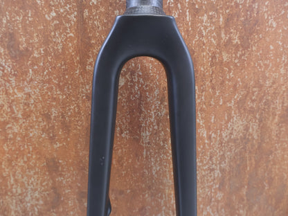 CANYON ULTIMATE CF EVO DISC CARBON GABEL 1 1/4 ZOLL 358G M