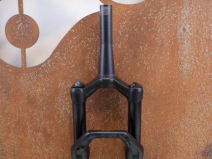 DT SWISS F 232 ONE / XC FEDERGABEL / 29" BOOST / 110 MM FEDERWEG / 1517G