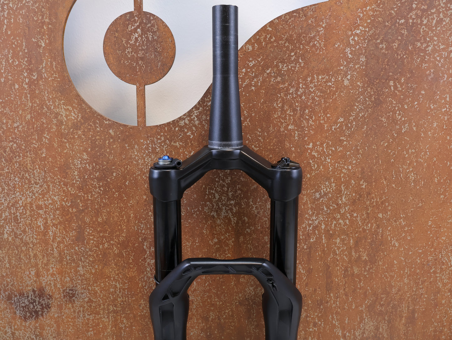 DT SWISS F 232 ONE / XC FEDERGABEL / 29" BOOST / 110 MM FEDERWEG / 1505G