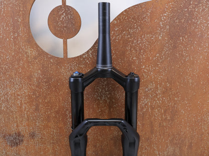 DT SWISS F 232 ONE / XC FEDERGABEL / 29" BOOST / 110 MM FEDERWEG / 1505G
