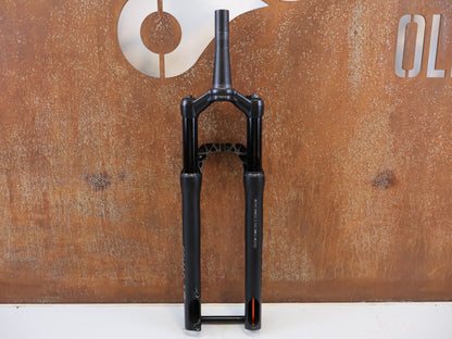 DT SWISS F 232 ONE / XC FEDERGABEL / 29" BOOST / 110 MM FEDERWEG / 1505G