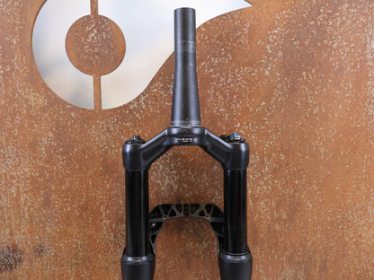 DT SWISS F 232 ONE / XC FEDERGABEL / 29" BOOST / 110 MM FEDERWEG / 1505G