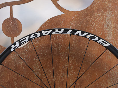 BONTRAGER KOVEE RSL 30 TEAM EDITION FRONT WHEEL 29 BOOST CARBON