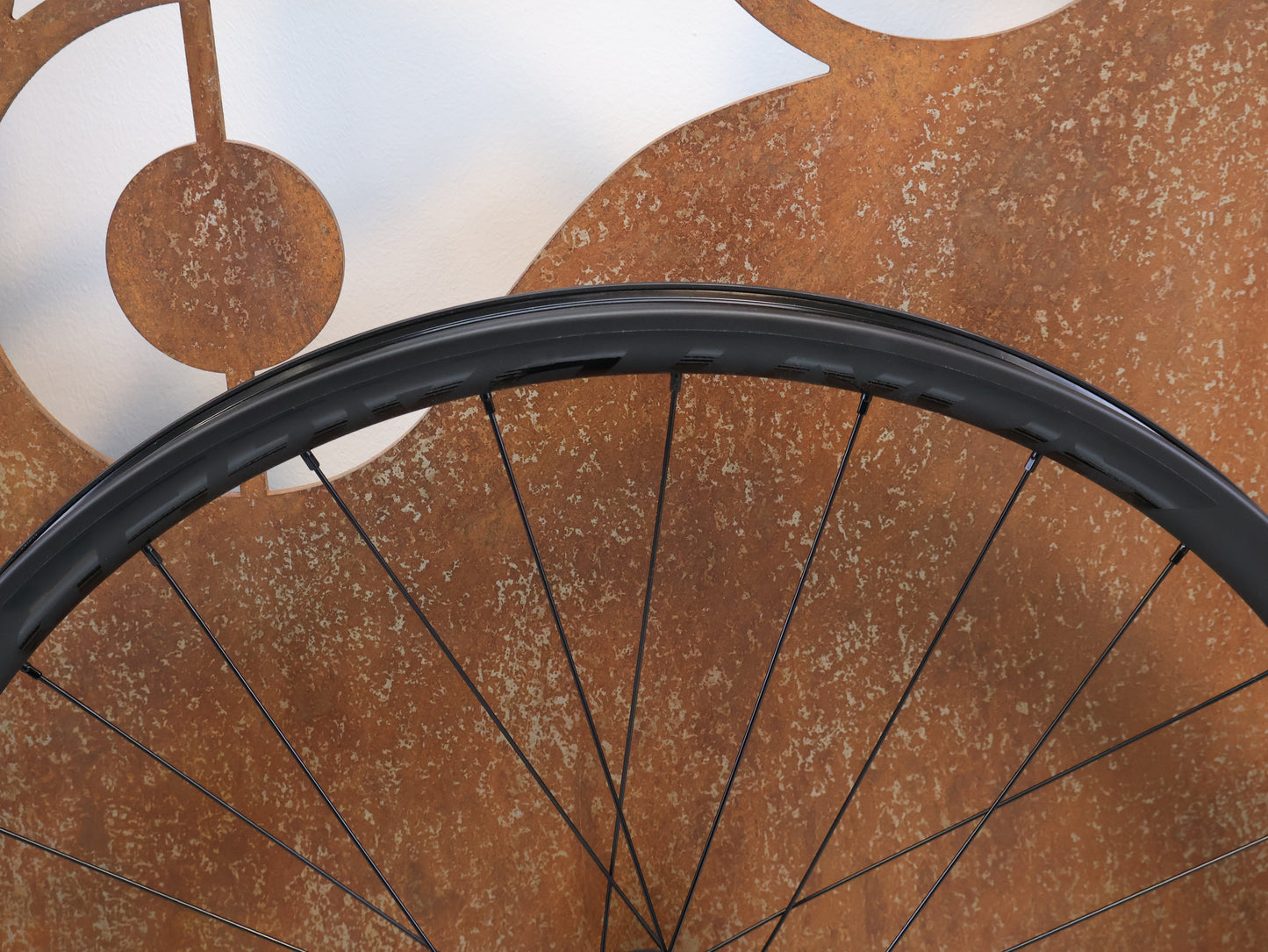 BONTRAGER LINE ELITE 30 TLR BOOST 29 MTB-VORDERRAD / OCLV CARBON