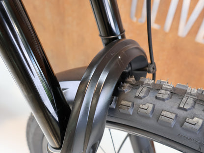 TREK RAIL+ 9.8 GX AXS T-TYPE GEN 5 / GRÖSSE L / 800 WH / PENNYFLAKE