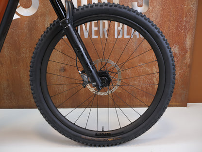 TREK RAIL+ 9.8 GX AXS T-TYPE GEN 5 / GRÖSSE M / 800 WH / PENNYFLAKE