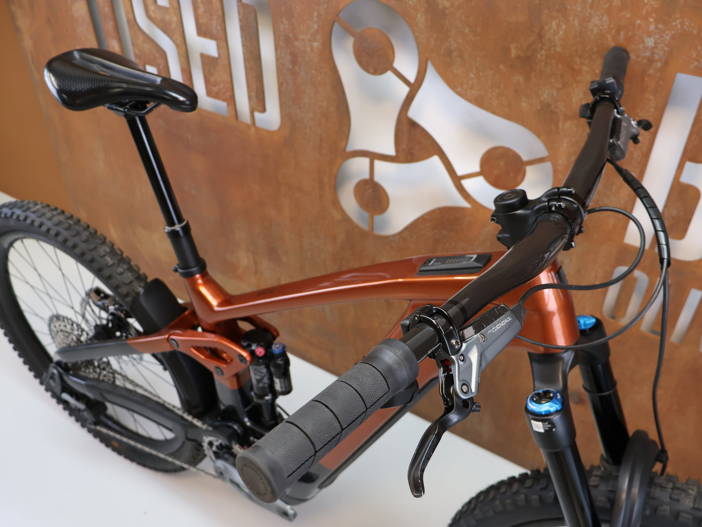 TREK RAIL+ 9.8 GX AXS T-TYPE GEN 5 / GRÖSSE M / 800 WH / PENNYFLAKE