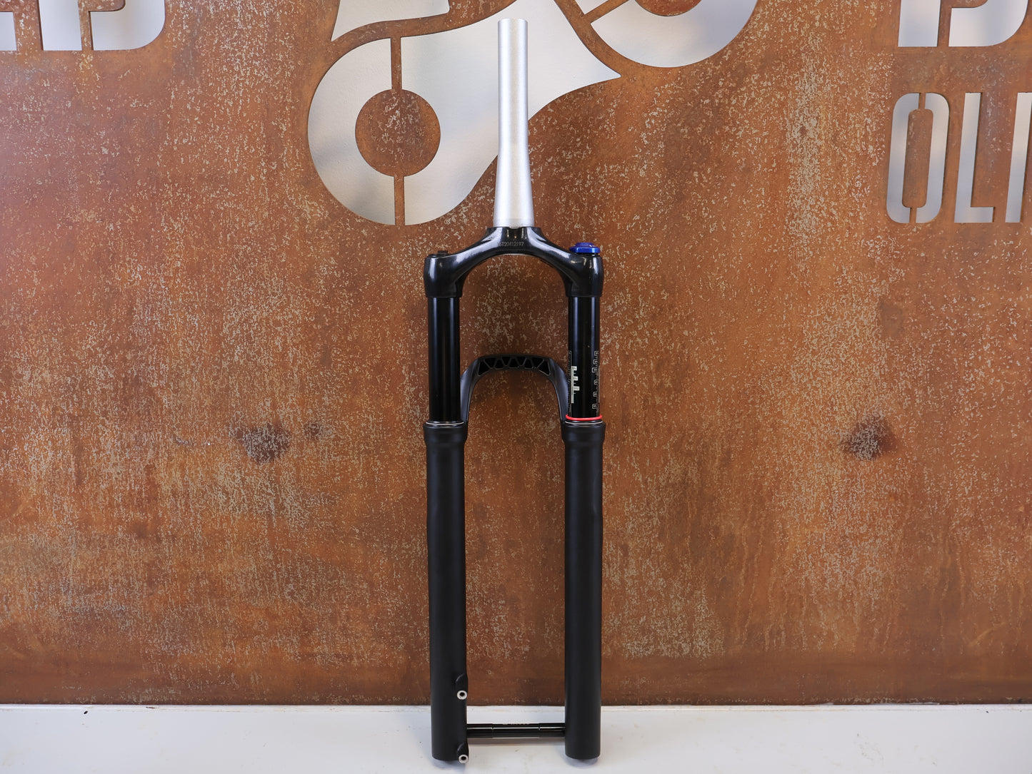 ROCKSHOX REBA RL 29 ZOLL BOOST FEDERGABEL 120 MM / SCHWARZ