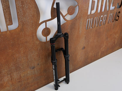 ROCKSHOX ZEB ULTIMATE FEDERGABEL / 29'' / 180 MM / CHARGER 3 RC2 / BOOST
