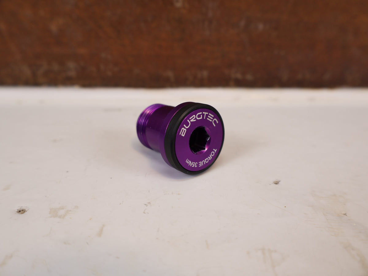 Burgtec Aluminium UDH Befestigungsschraube Purple Rain