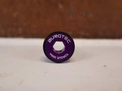Burgtec Aluminium UDH Befestigungsschraube Purple Rain