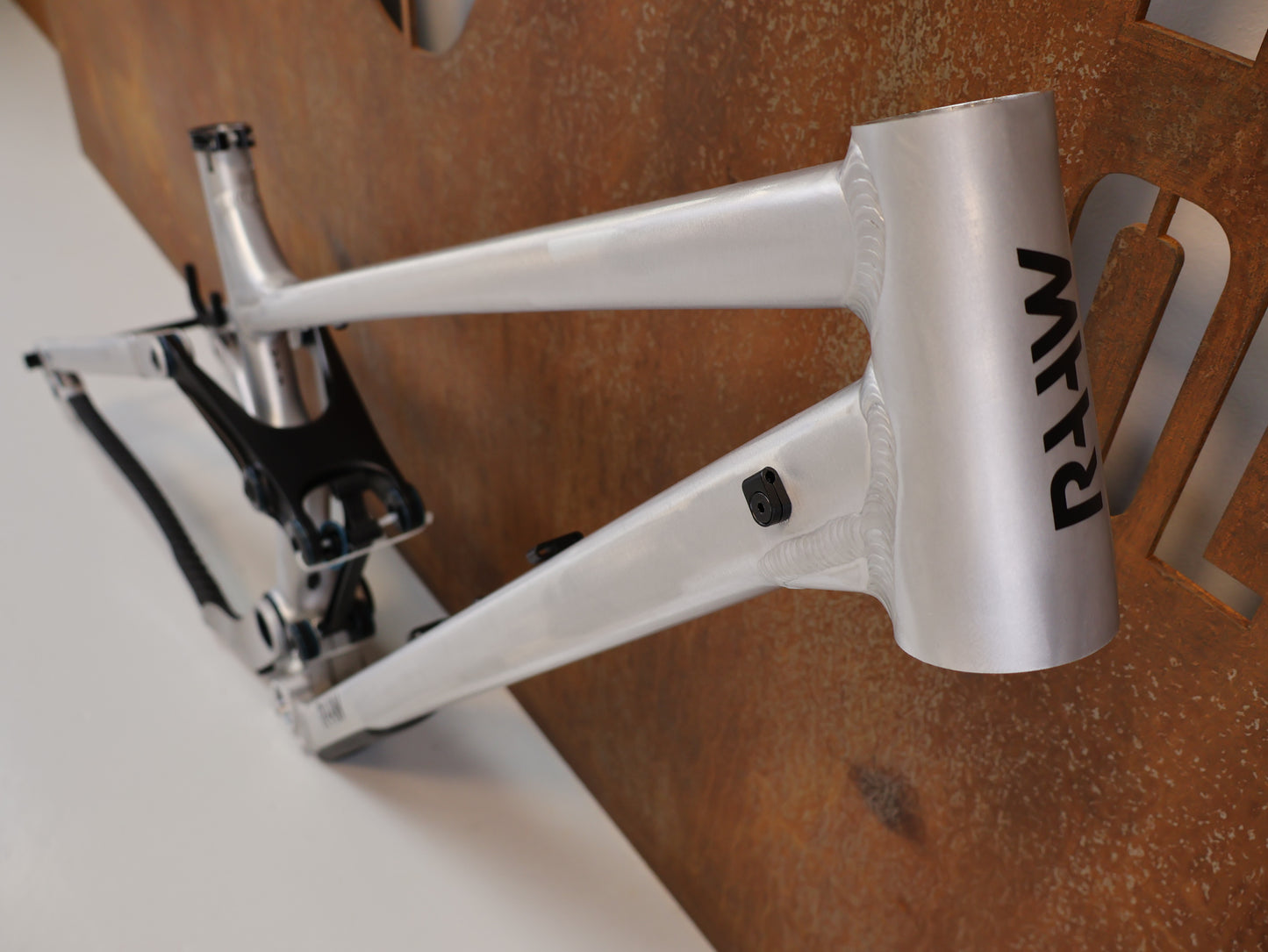 RAAW MADONNA V2.2 29 ZOLL RAHMENSET / ENDURO / 160 MM / GRÖSSE XL / ALU RAW
