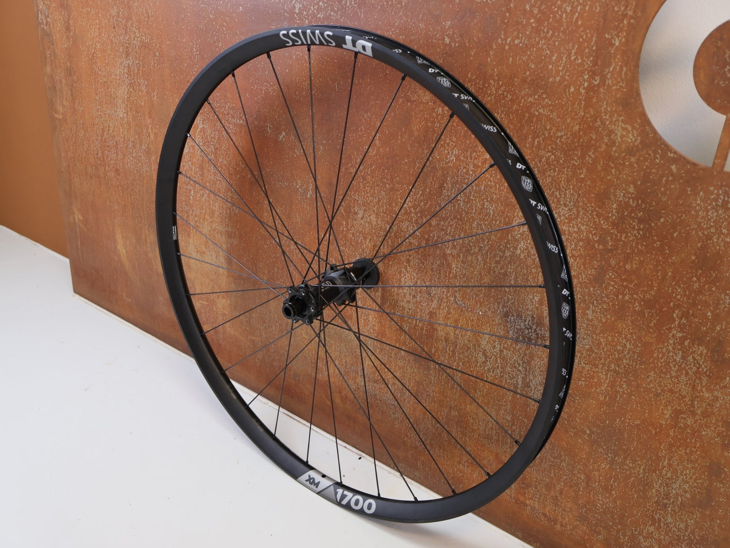 Laufrad/Laufradsatz von Dt Swiss, DT SWISS XM 1700 SPLINE 30 29 BOOST LAUFRADSATZ XD vor USEDBIKES-OB.DE Hintergrund